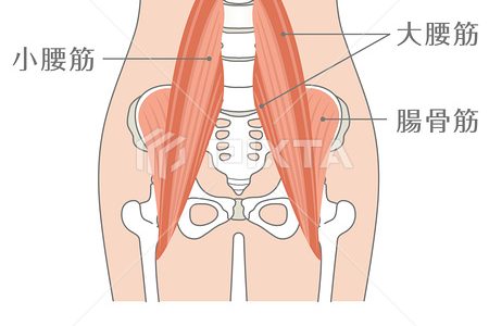 「デスクワーク腰痛の原因は〇〇筋！？」