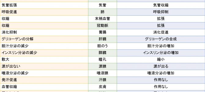 自律神経とは何か？